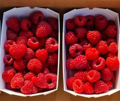 de3523dc-9368-4277-b85d-d1c5377da95a