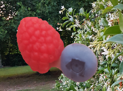 72fc48e3-51fa-4478-a743-f11089e35444