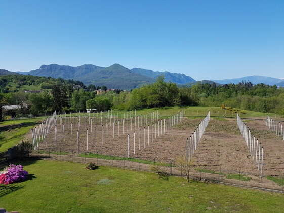 f66e9db0-4807-40b8-ba95-ca94a00eb2c1