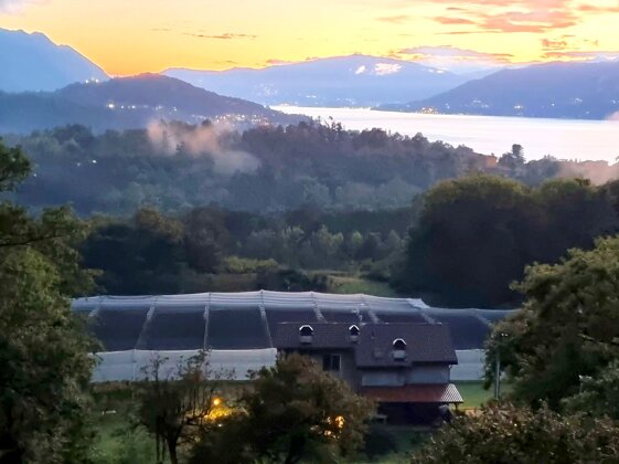 804bc215-aab6-485a-81f7-8335bfe96232