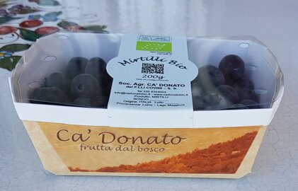 4fb62b3e-e3a5-4329-a8fa-fd2993a72d52