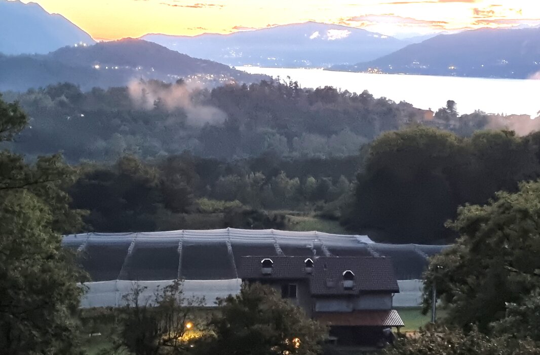 8d5d7d08-fa17-4a25-8a9b-d4d53bd8141f