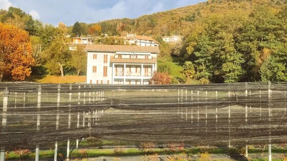 b4f61867-3f8d-43d3-9f80-5c48b9bcb912