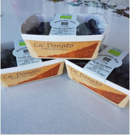 7a0a7e67-c294-43de-82a5-7be30176a58c