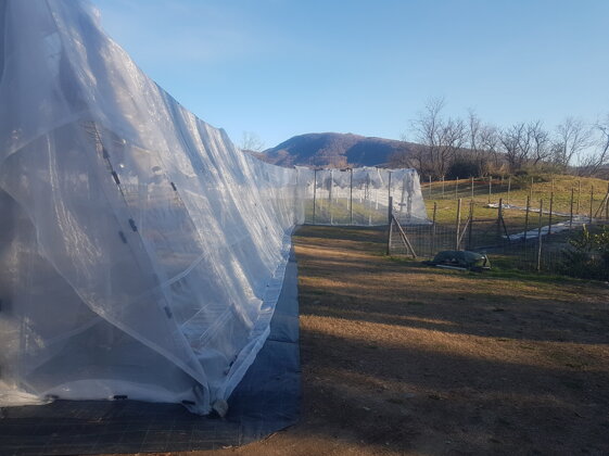 ca49cfdd-efaa-4acc-8f3e-03cb27e652a8