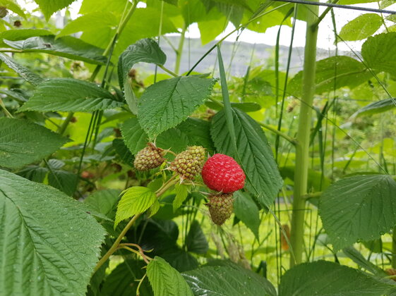 07afb938-3f8a-41e1-b1ee-fecedcc29a36