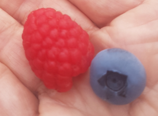 b3a75bac-009f-4962-831a-ae46305c59b0