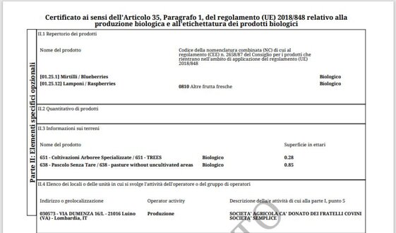 5bd69091-29b8-4bc8-b0a5-5104aef2993e