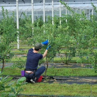 ee20b563-0562-470b-9d68-e520403543ee