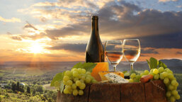 ef9ed363-fbac-4921-80ea-47cb258af5ae ef9ed363-fbac-4921-80ea-47cb258af5ae