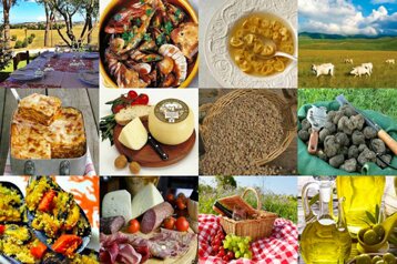 3fc1471f-cf69-4fd3-a0b9-2d5f020614f3 3fc1471f-cf69-4fd3-a0b9-2d5f020614f3