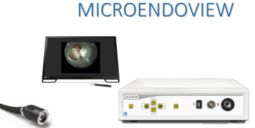 1c6d4b22-729f-4383-950d-5f77bd009883 1c6d4b22-729f-4383-950d-5f77bd009883