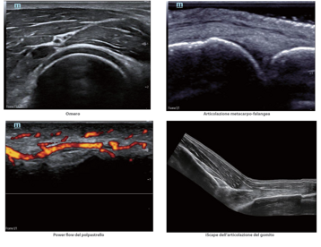 01f465b5-3e63-470d-9a18-ebc80283f523 01f465b5-3e63-470d-9a18-ebc80283f523