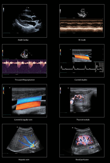 af1e1404-0686-4559-ae4d-9a39a4d43425 af1e1404-0686-4559-ae4d-9a39a4d43425