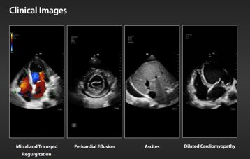 7558cf46-18b5-40a1-b582-1f1cbb6eb7d9