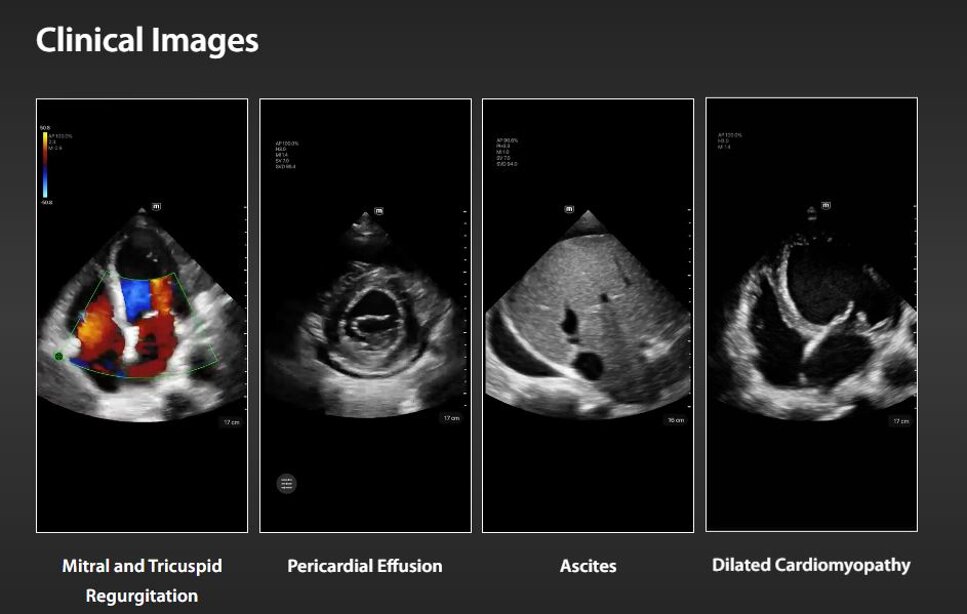 7558cf46-18b5-40a1-b582-1f1cbb6eb7d9