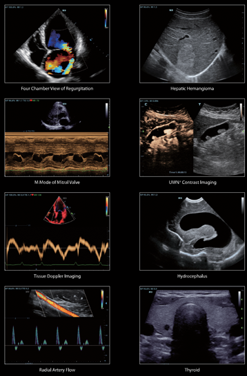 de799364-e0b5-46ce-83bf-c523db82f3c8 de799364-e0b5-46ce-83bf-c523db82f3c8