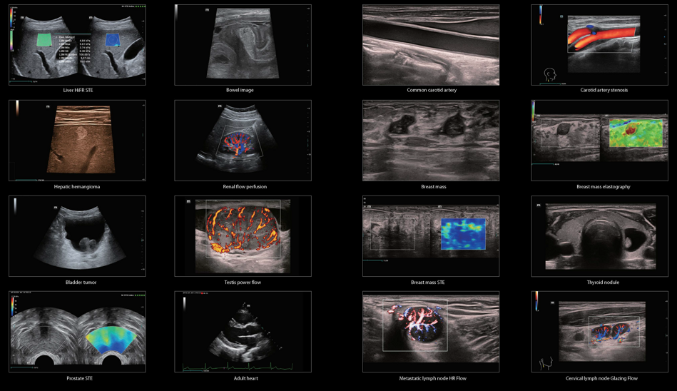 d2830ed2-7607-4449-84af-de37b7434248