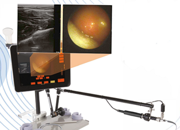 bca1d186-db3a-4d71-bd0e-a6834e141aa5 bca1d186-db3a-4d71-bd0e-a6834e141aa5