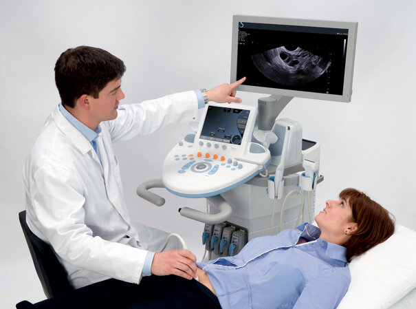 8b925da3-a1d4-4894-8554-66f6435fbfa8