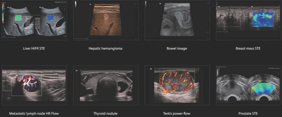 d63fc7c9-3532-4e48-9ff0-0b8676c16ed2