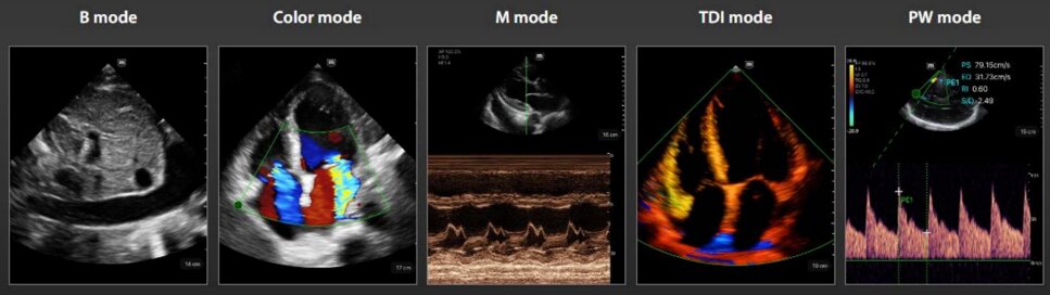 86c67bbc-c172-423c-8396-9773797abde4