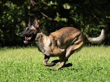 99f8512c-bde5-4847-b58b-102d40325632