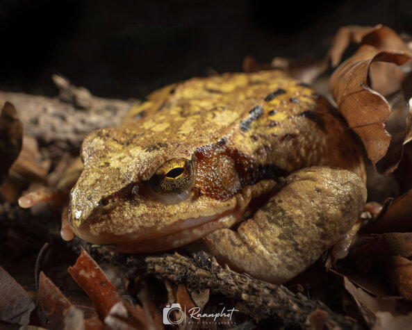 22a41a89-6919-4ff3-b04c-d657dee163eb