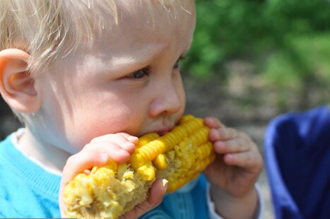 piccoli ospiti piccoli ospiti