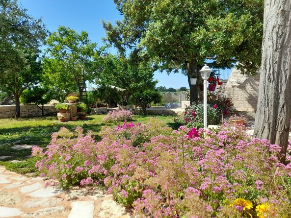 Giardino in primavera