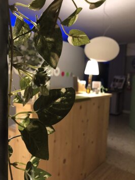 a553c6cb-66de-45ad-9b46-58a8a7341484