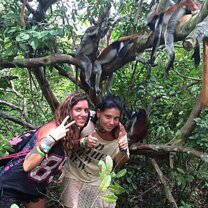 8cffff40-b394-46c7-8680-26630209e729