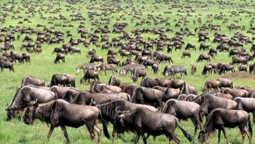 22f9e4eb-05a8-4c8f-b5ab-0a8b7da00c59