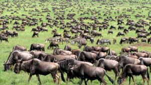 22f9e4eb-05a8-4c8f-b5ab-0a8b7da00c59