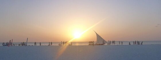 353a7c0b-70fe-4eac-80b0-a5a83ce45dfc