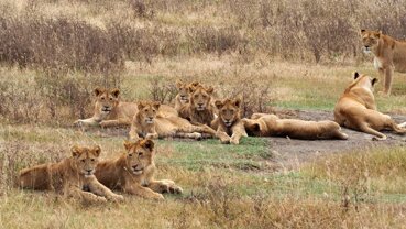 bb0efdb9-39a9-4d38-9912-7277bc7336d4