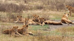 bb0efdb9-39a9-4d38-9912-7277bc7336d4