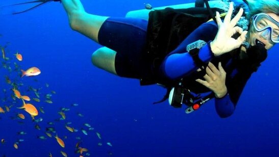 5073833d-cc14-4065-83c5-f341f119fcd5