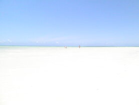 3bc9fd09-dd3c-4c0c-a528-c309a11f4ab4