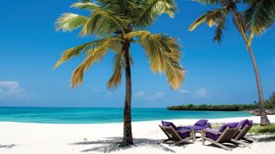 9d3f836d-0f00-41e8-b922-2555324bd56d 9d3f836d-0f00-41e8-b922-2555324bd56d