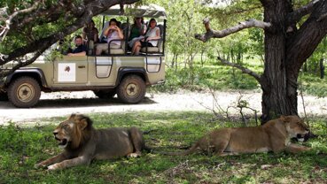 f7f20e6b-c45a-48aa-99c0-5915968d56f1