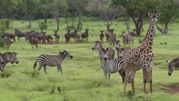 282aee17-8b30-4f58-abdf-ade1512288a1