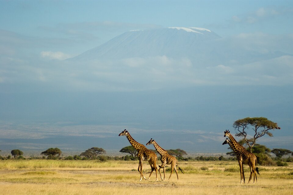 eyJlbiI6IiJ9 eyJlbiI6IiJ9