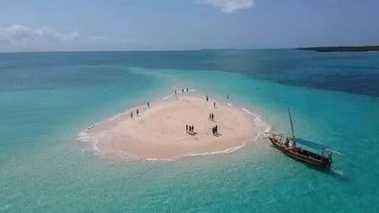 81cfd996-81e6-4406-8152-1b8a442f21dd