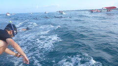 2354c504-3cff-49bc-90d0-fbd3d9cda01e