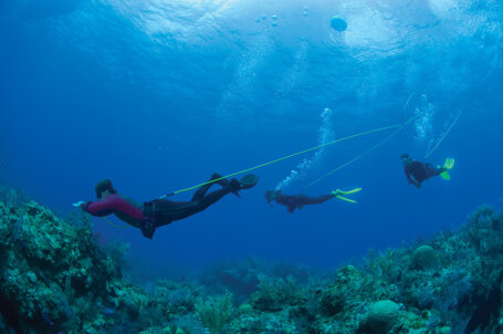 3rdlungdiving