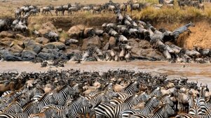 356171c7-c594-47b4-9555-39b874d763a9