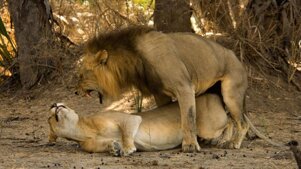 5a7d4014-c896-4fa3-98eb-678784f91a98