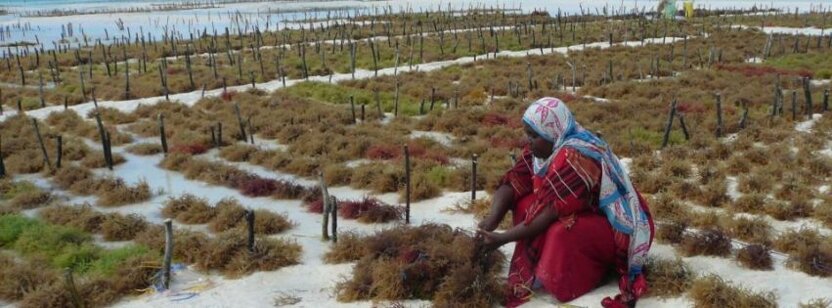 07fc4920-a910-4b8f-b370-85fc01ba259c 07fc4920-a910-4b8f-b370-85fc01ba259c