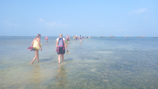 c2470816-010a-4682-948b-e57852e7f0a9 c2470816-010a-4682-948b-e57852e7f0a9